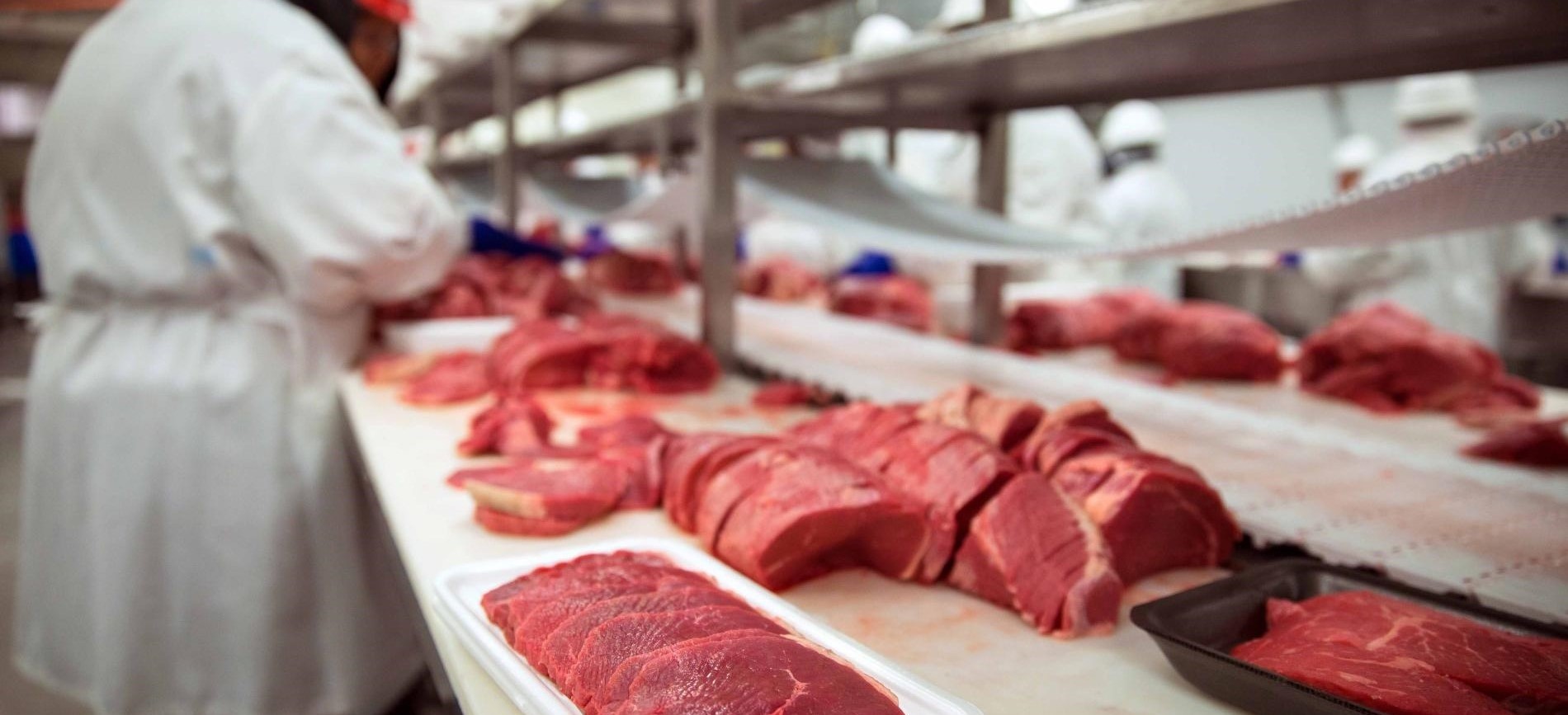 Dara Factory producing high-quality meat and chicken from natural pastures